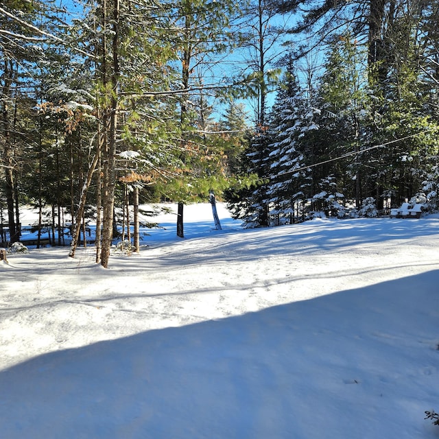 view of snowy yard