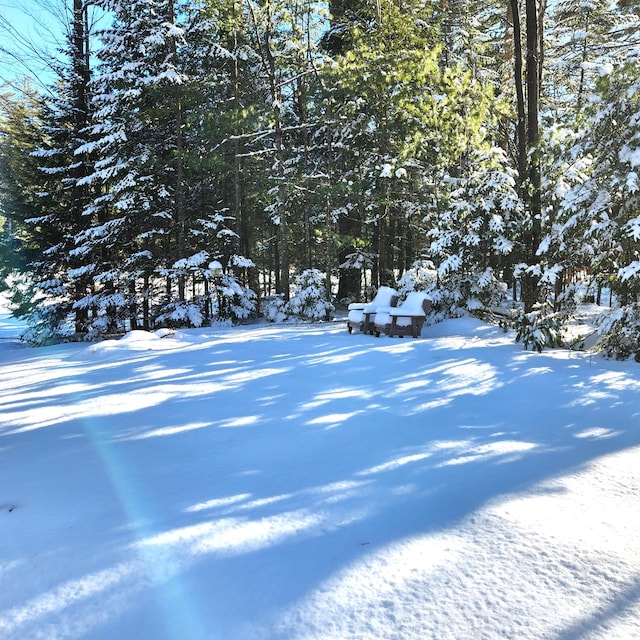 view of yard layered in snow