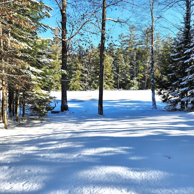 view of yard layered in snow