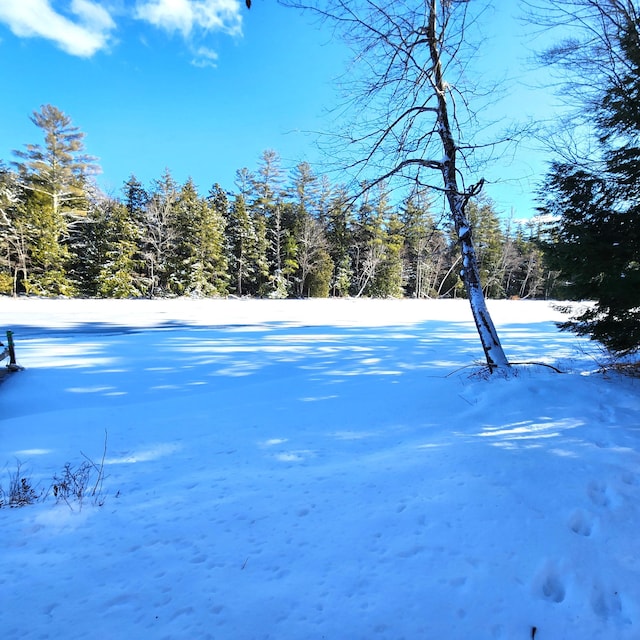 view of yard layered in snow