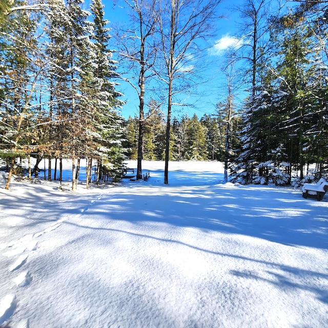 view of yard covered in snow