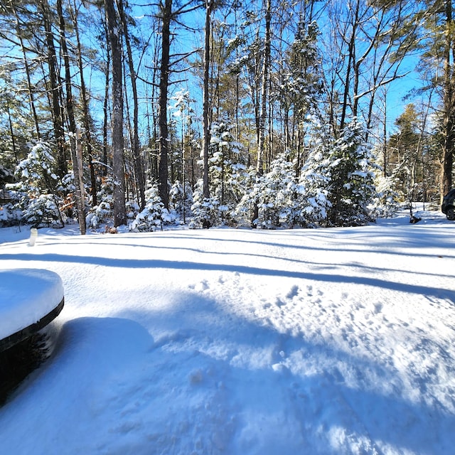 view of yard covered in snow