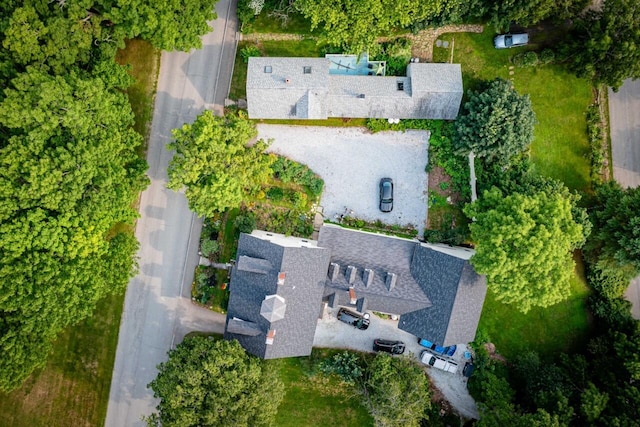 drone / aerial view