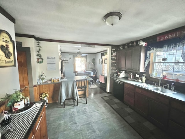 kitchen with dark brown cabinetry, sink, crown molding, stainless steel dishwasher, and ceiling fan