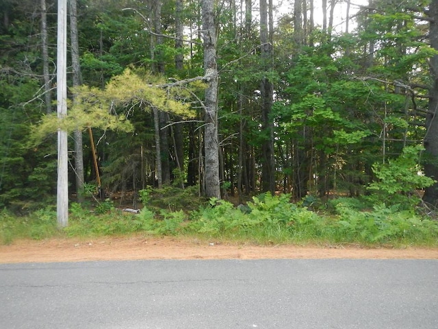 Listing photo 3 for 50 Evergreen Dr, Lincoln ME 04457