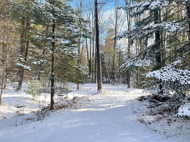 view of yard layered in snow