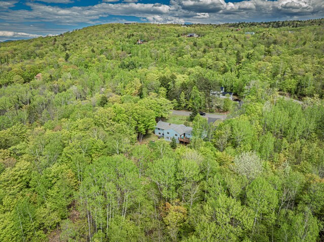 412 Lily Bay Rd, Greenville, ME 04441 - photo 57