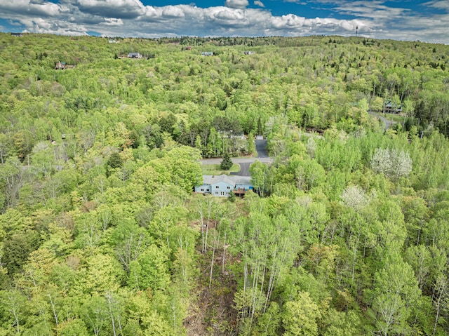 412 Lily Bay Rd, Greenville, ME 04441 - photo 58