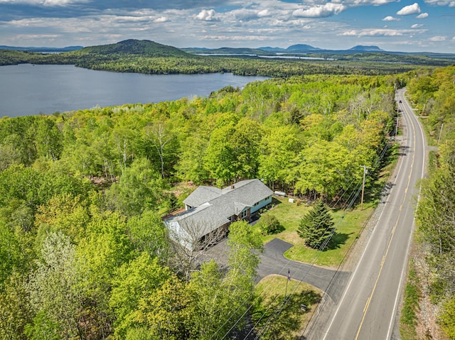 412 Lily Bay Rd, Greenville, ME 04441 - photo 60