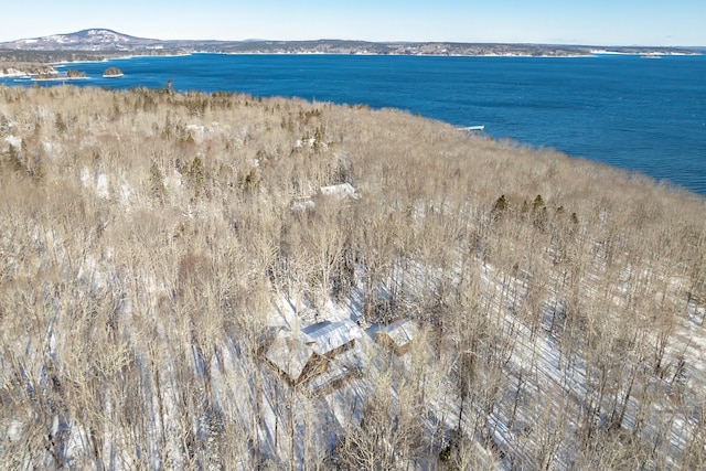 drone / aerial view with a water and mountain view