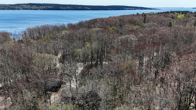 aerial view of property's location featuring a heavily wooded area and a nearby body of water