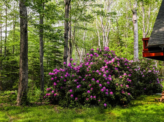 28 Sans Vue Ln, Blue Hill, ME 04614 - photo 3