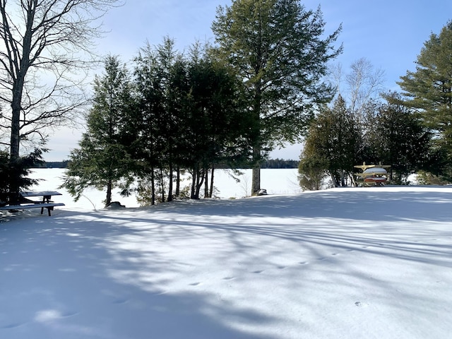 view of snowy yard