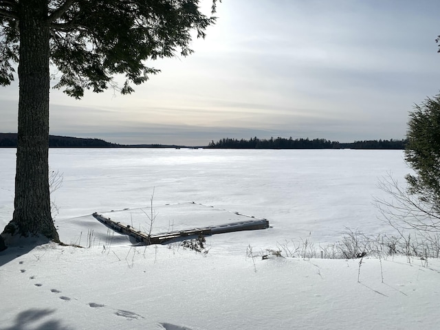 yard layered in snow with a water view