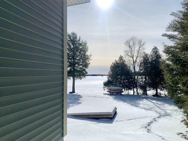 view of snowy yard