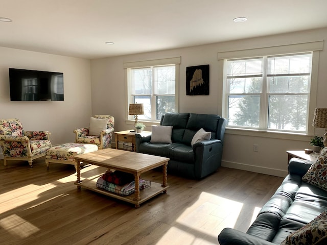 living room with wood-type flooring