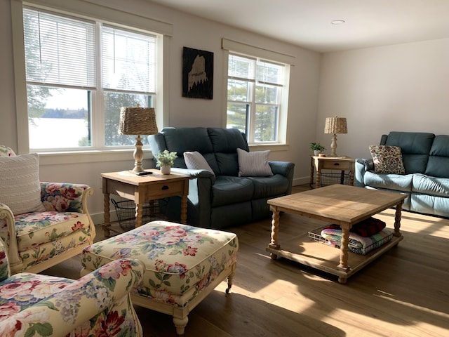 living room with light wood-type flooring