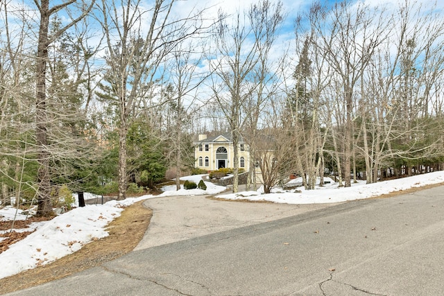 view of front of home featuring driveway and a chimney