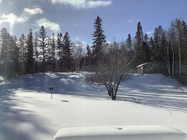 view of snowy yard