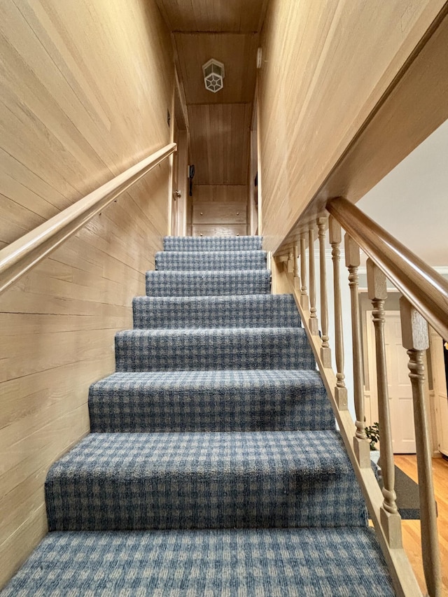 stairs with wood ceiling and wood walls