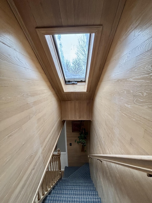 staircase featuring a skylight and wood walls