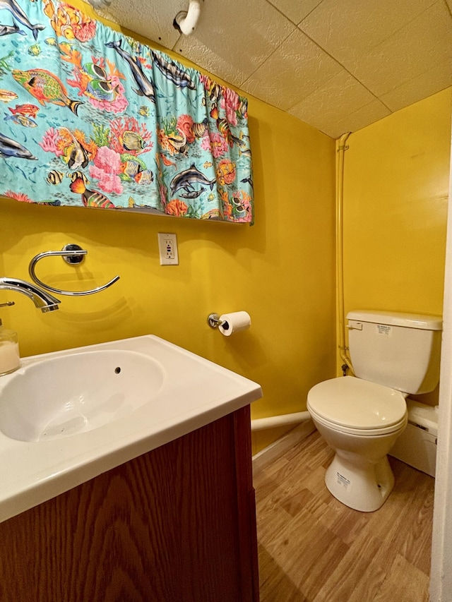 bathroom with wood-type flooring, vanity, and toilet