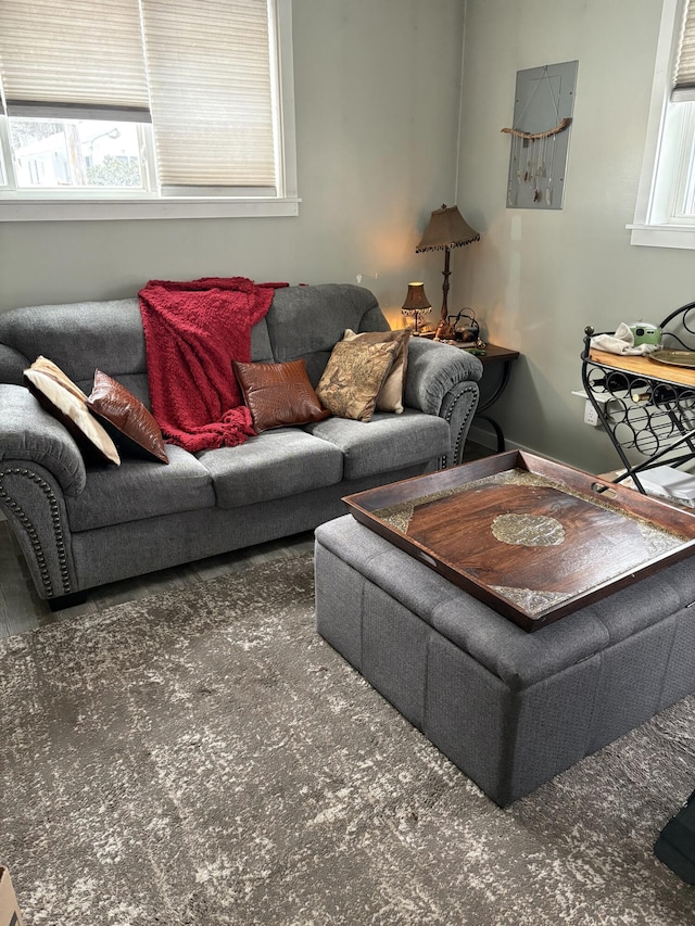 living room with plenty of natural light