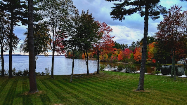 property view of water