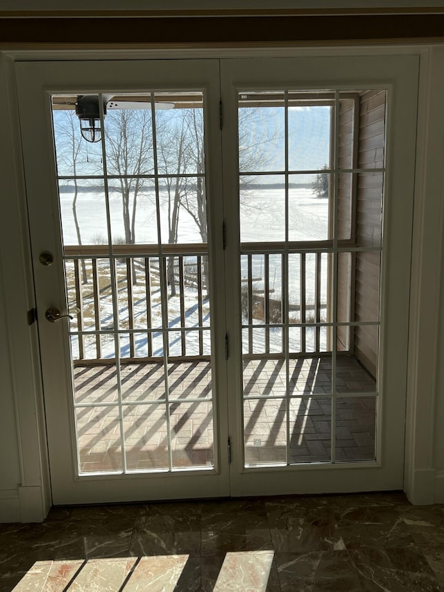 entryway with a healthy amount of sunlight