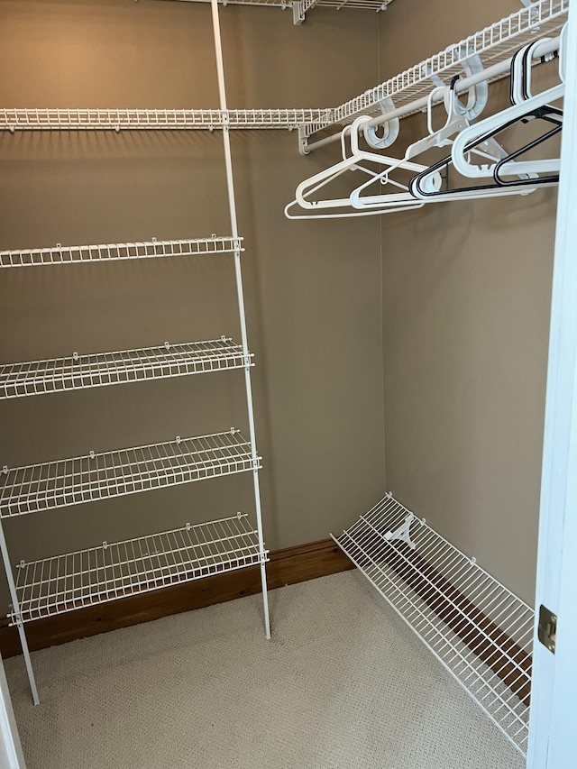 walk in closet featuring carpet floors