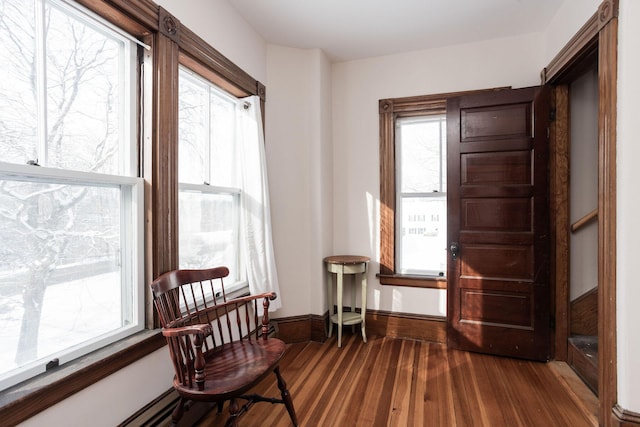 sitting room featuring dark hardwood / wood-style floors and a wealth of natural light