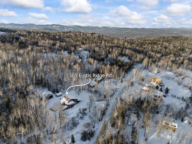 snowy aerial view with a mountain view