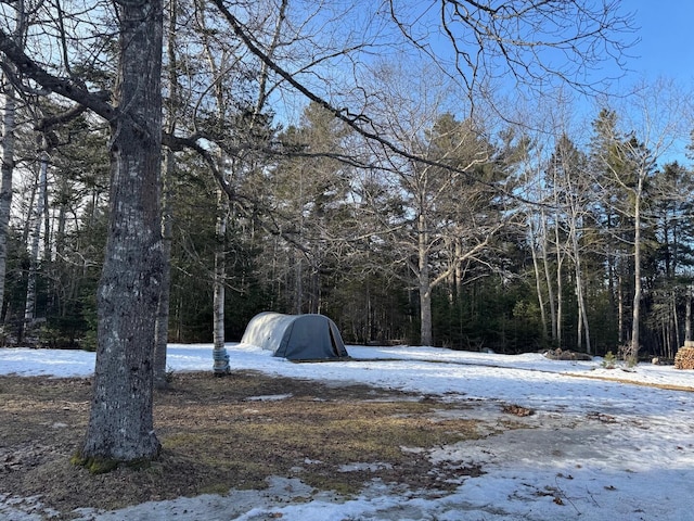 yard layered in snow featuring a wooded view