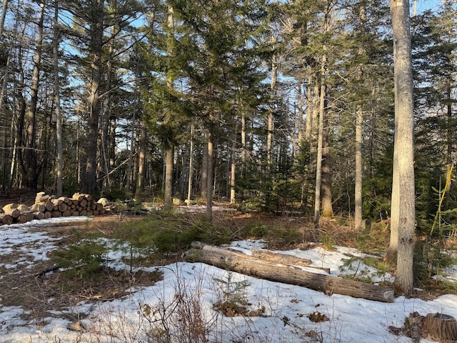 view of landscape with a forest view