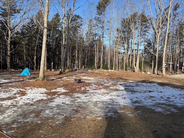 view of nature featuring a wooded view