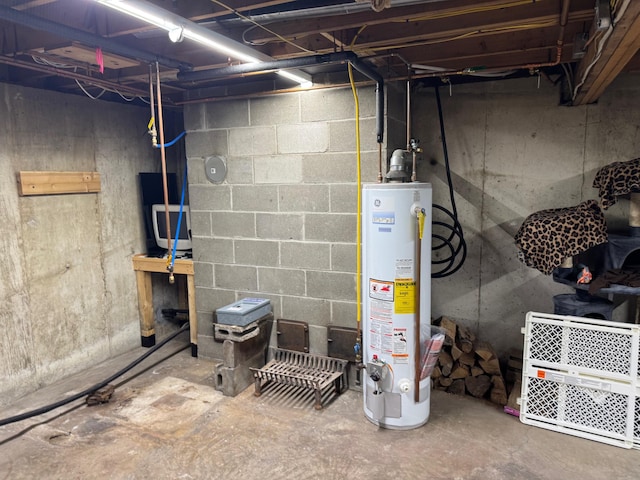 unfinished below grade area featuring gas water heater