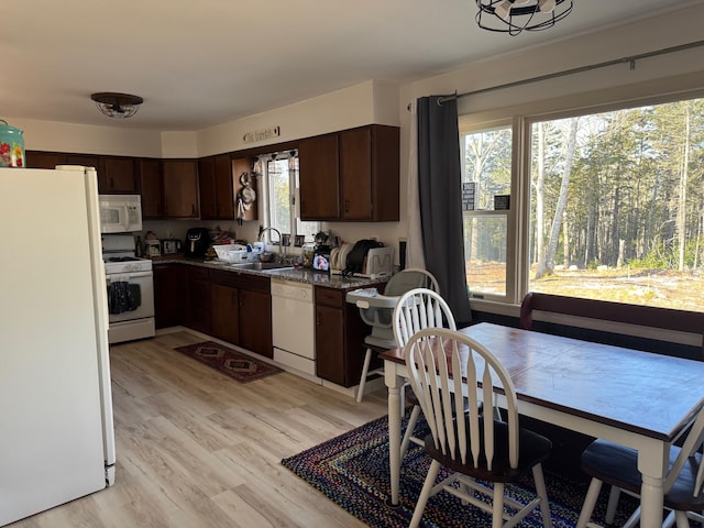 kitchen with a sink, light wood-style floors, white appliances, and dark brown cabinetry