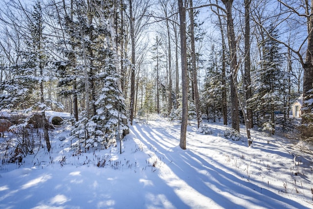 view of yard covered in snow