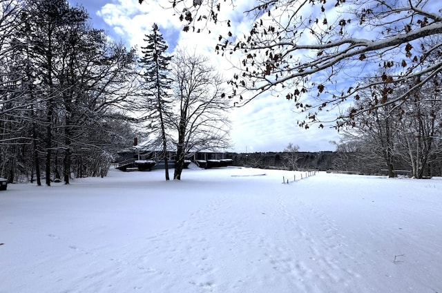 view of snowy yard