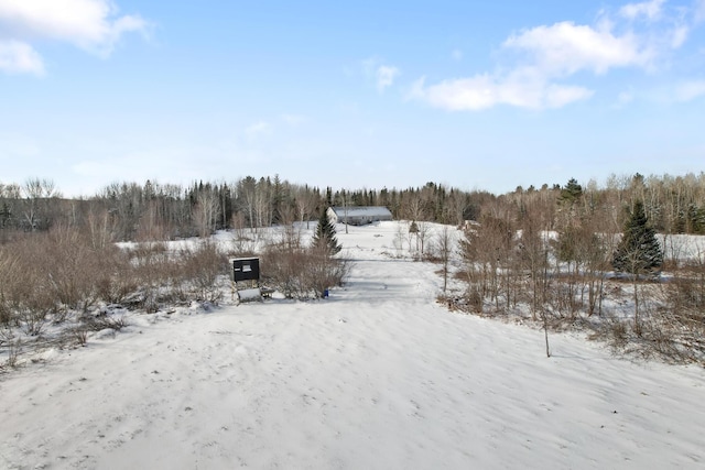 view of yard covered in snow