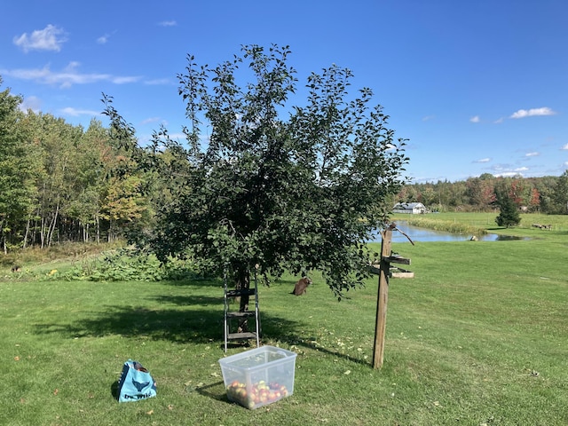 view of community with a water view and a yard