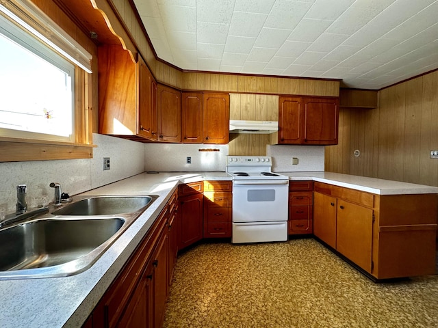 kitchen with electric stove and sink