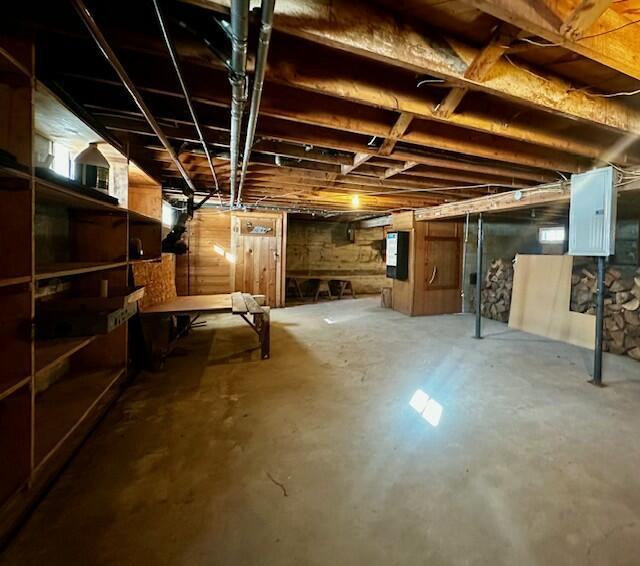 basement with electric panel