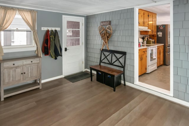 entryway featuring dark hardwood / wood-style flooring