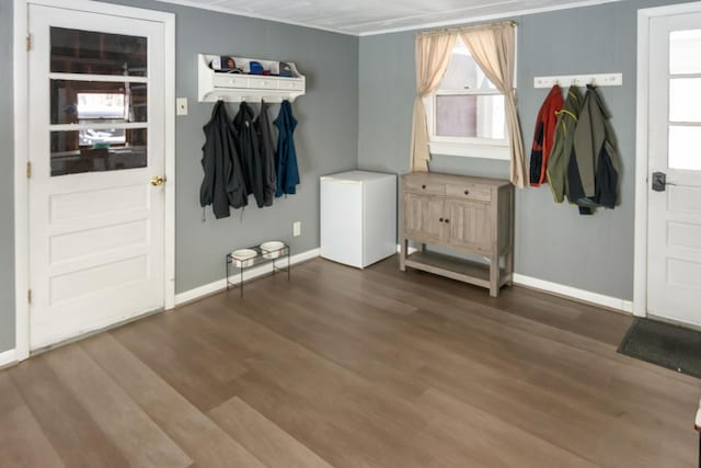 entrance foyer featuring wood-type flooring