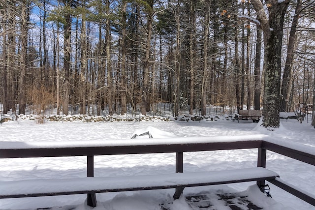 view of yard covered in snow