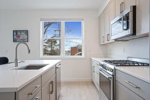 kitchen with gray cabinetry, stainless steel appliances, a sink, light countertops, and light wood-type flooring