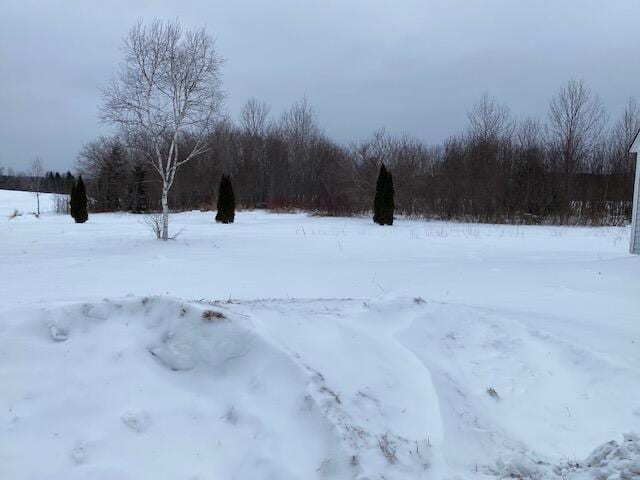 view of yard covered in snow