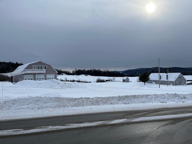 view of yard covered in snow