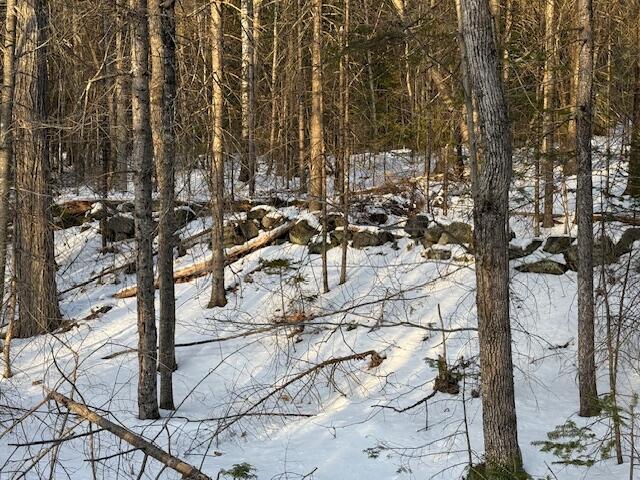 23-2 Fuller Hill Rd, Woodstock, ME 04219